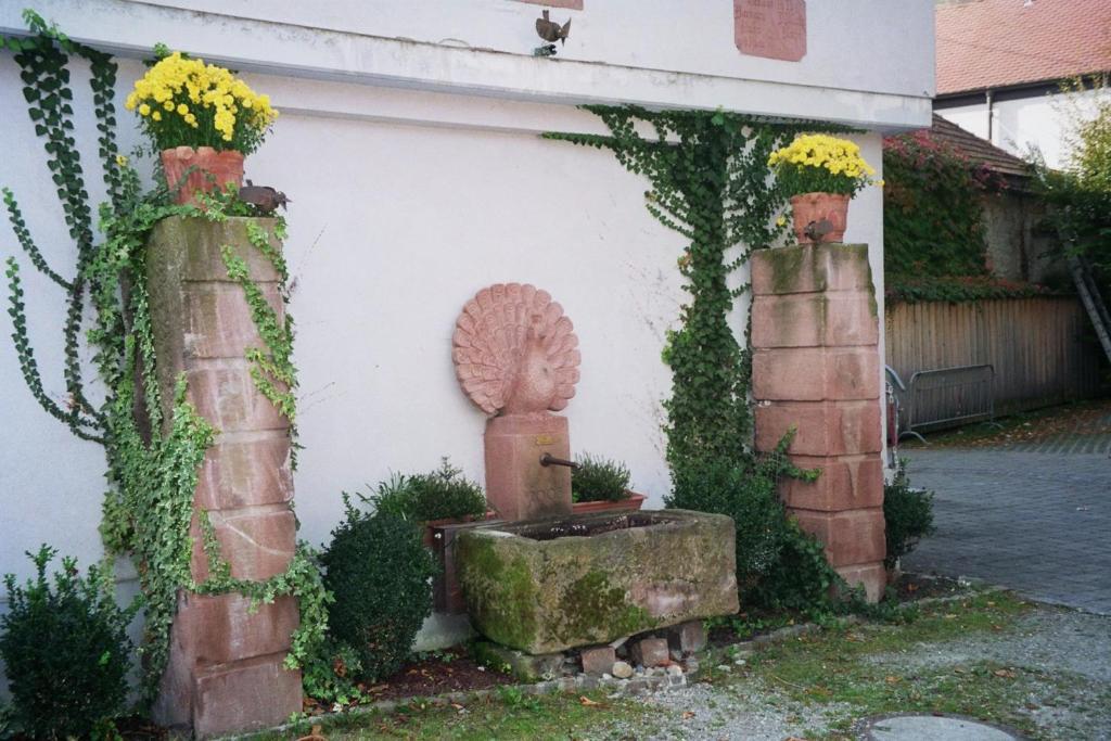 Tiptop Hotel Garni Pfauen Endingen am Kaiserstuhl Экстерьер фото