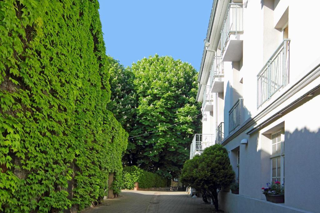 Tiptop Hotel Garni Pfauen Endingen am Kaiserstuhl Экстерьер фото