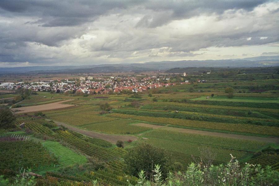 Tiptop Hotel Garni Pfauen Endingen am Kaiserstuhl Экстерьер фото
